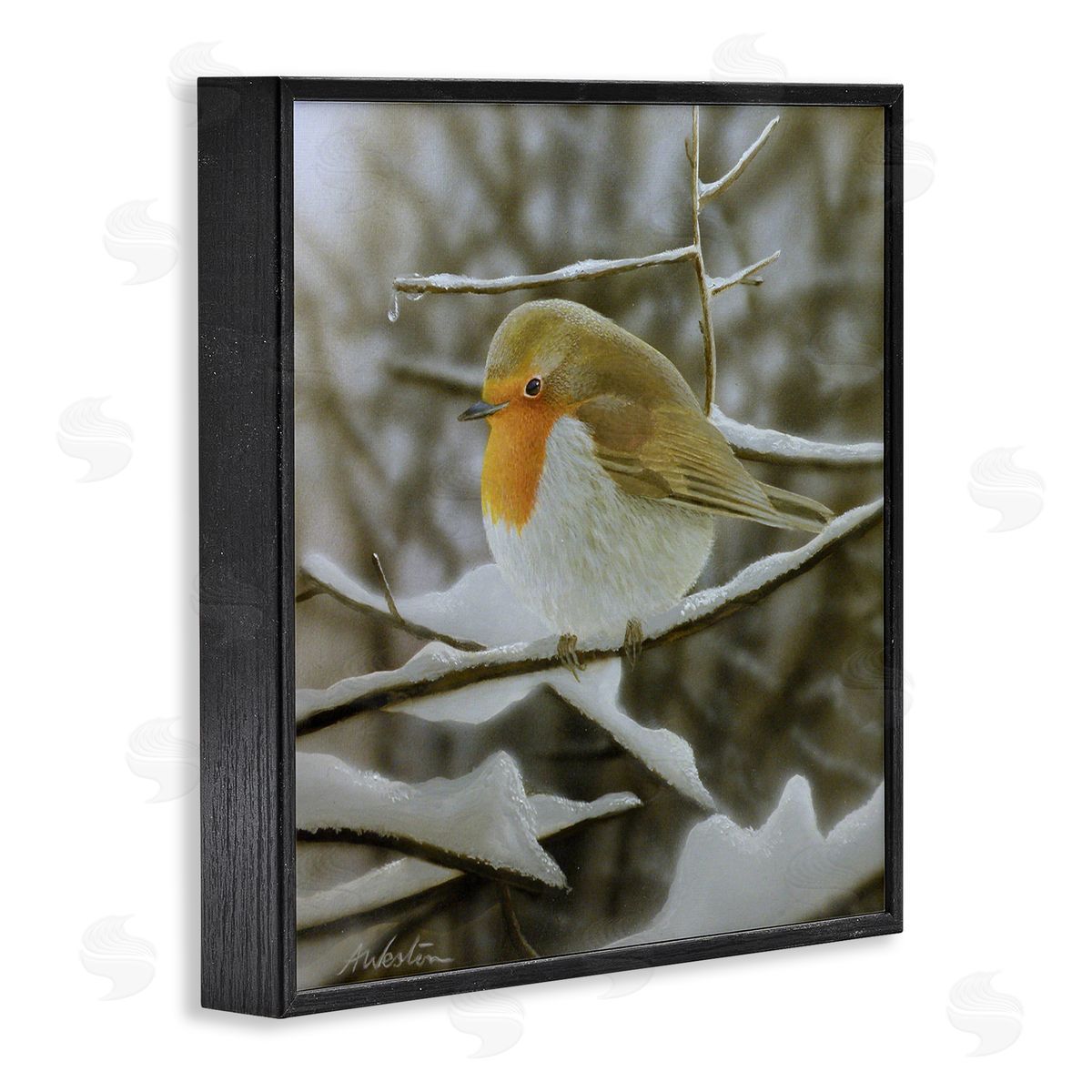 Alan Weston Little Bird Perched Detailed Snow Covered Twigs  Black Framed Glicee Wall Art Print