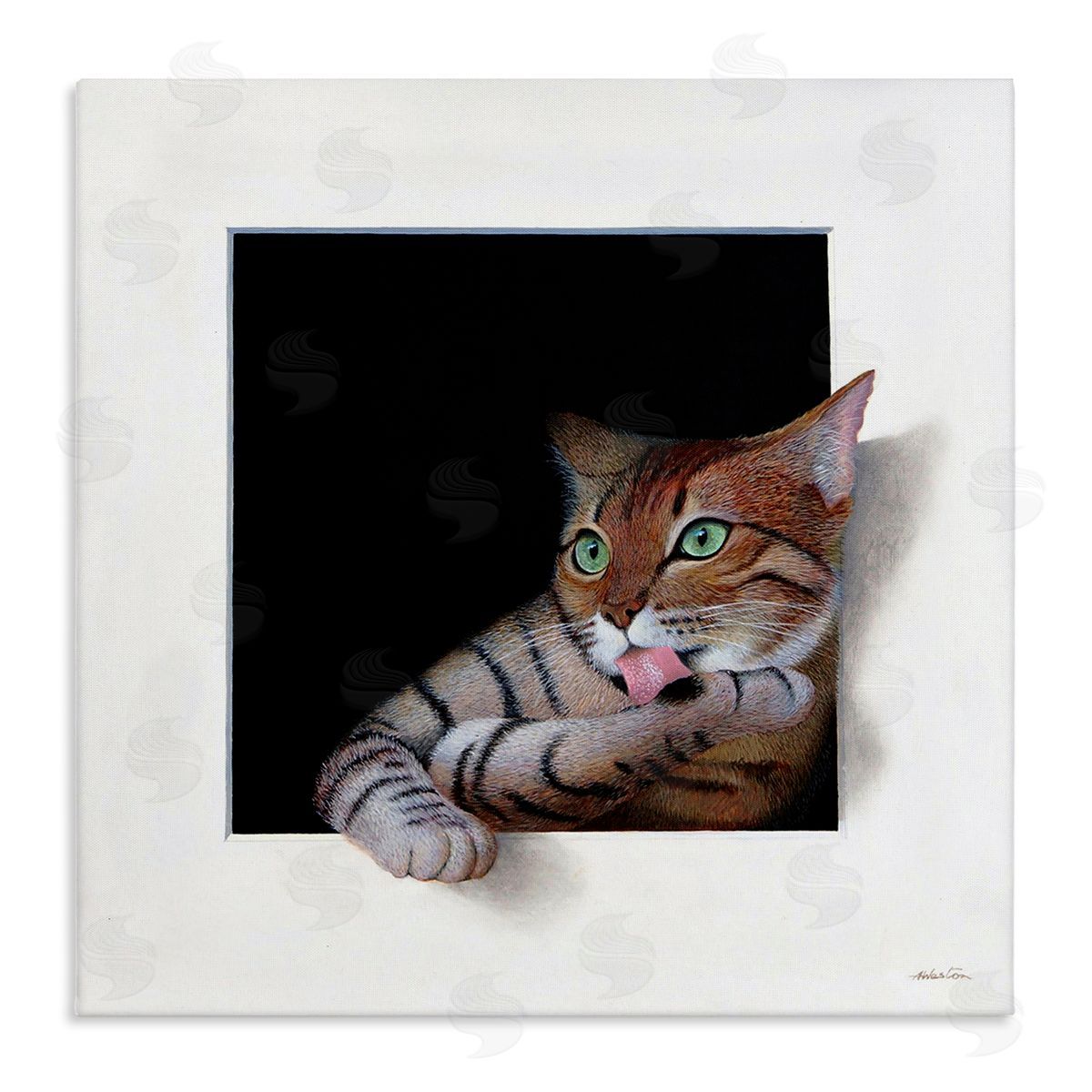 Alan Weston Manx Cat Grooming Green Eyes Optical Illusion Stretched Canvas Wall Art Print