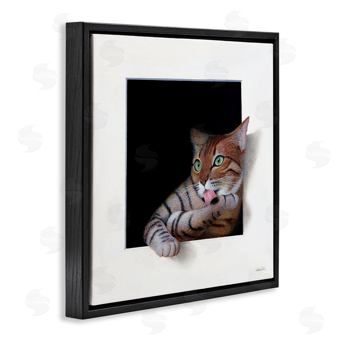 Alan Weston Manx Cat Grooming Green Eyes Optical Illusion Black Floating Frame Canvas Wall Art Print