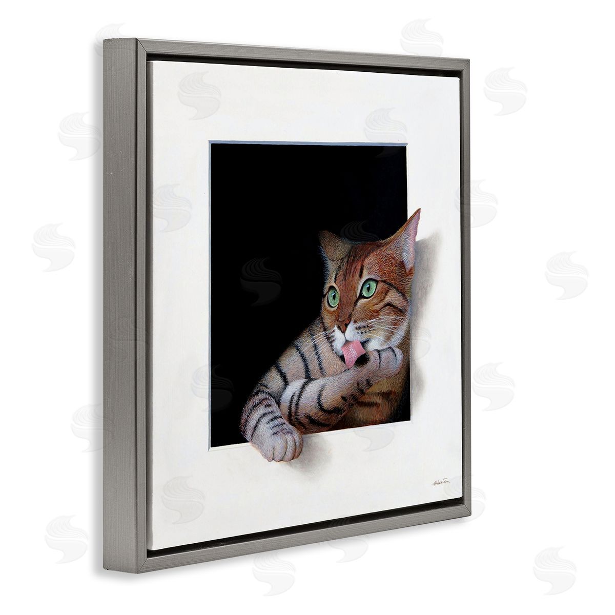Alan Weston Manx Cat Grooming Green Eyes Optical Illusion Gray Floating Frame Canvas Wall Art Print