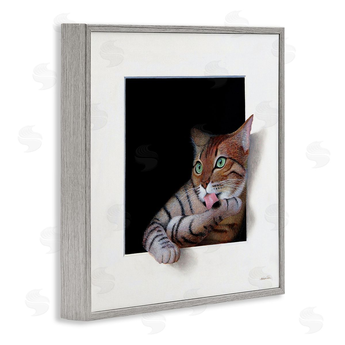 Alan Weston Manx Cat Grooming Green Eyes Optical Illusion Gray Framed Glicee Wall Art Print