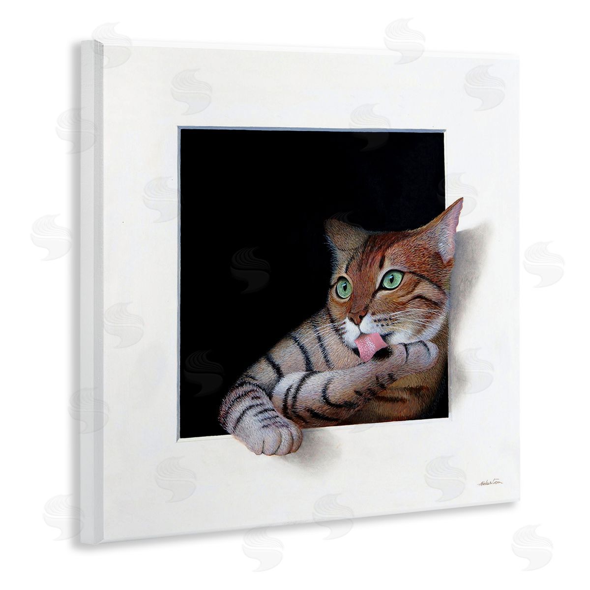 Alan Weston Manx Cat Grooming Green Eyes Optical Illusion Wooden Wall Plaque Art Print