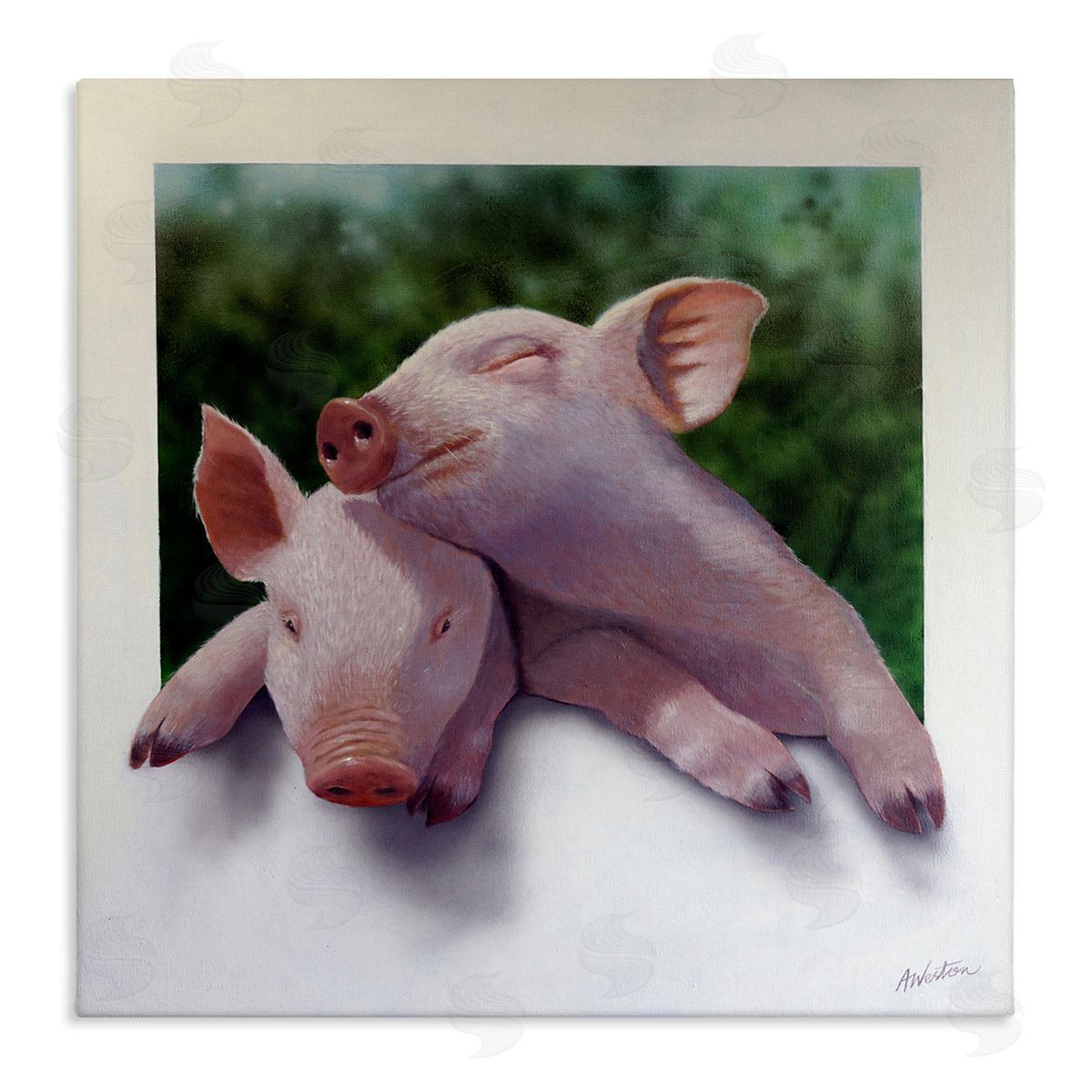 Alan Weston Sweet Cuddling Pigs Sentimental Farm Animal Portrait Stretched Canvas Wall Art Print