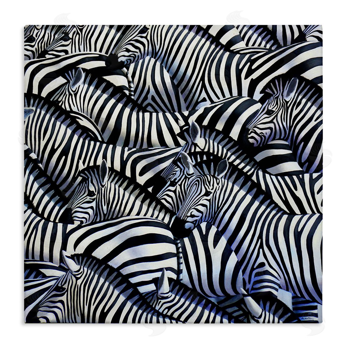 Alan Weston Crowded Zebra Herd Black Stripes Animals Painting Stretched Canvas Wall Art Print