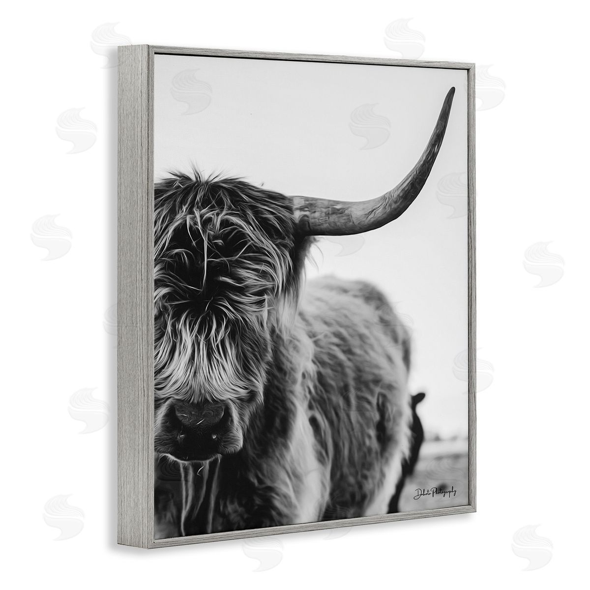 Dakota Diener Highland Cow Cattle Horn Close Up Serene Photography  Gray Framed Giclee Wall Art Print