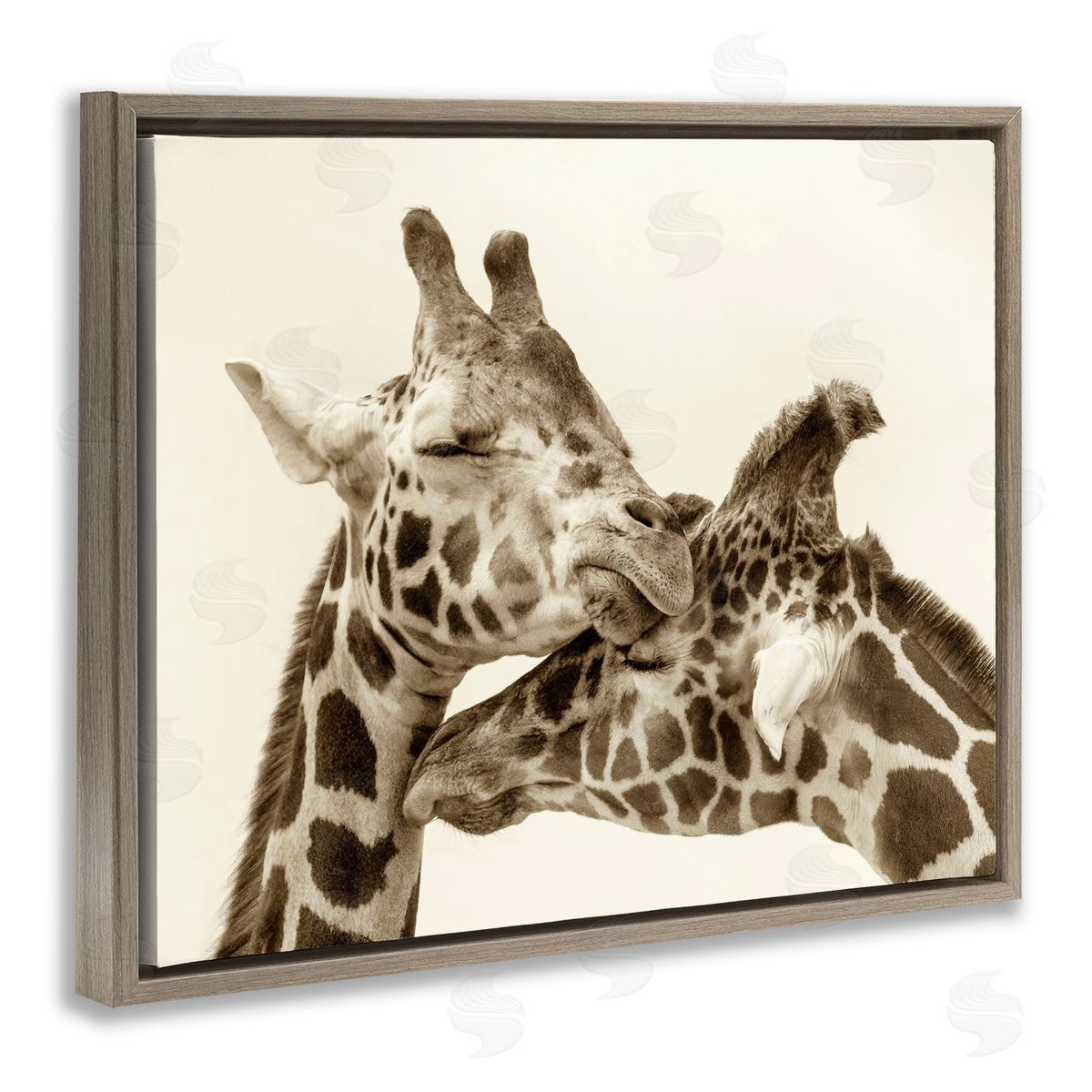 Carrie Ann Grippo-Pike Sweet Cuddling Giraffes Sepia Wildlife Photography Portrait Brown Floating Frame Canvas Wall Art Print