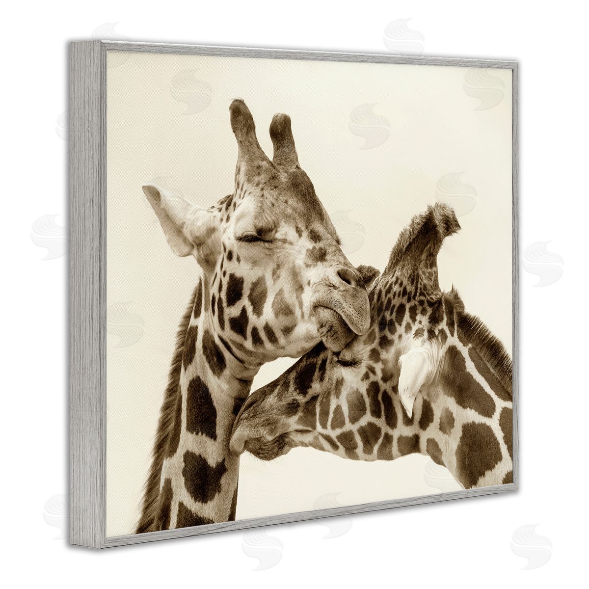 Carrie Ann Grippo-Pike Sweet Cuddling Giraffes Sepia Wildlife Photography Portrait Gray Framed Giclee Wall Art Print