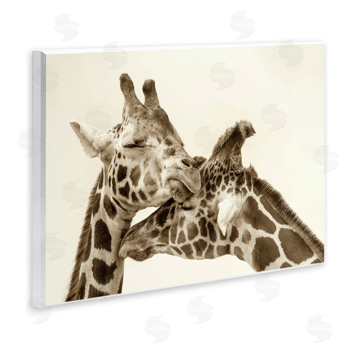 Carrie Ann Grippo-Pike Sweet Cuddling Giraffes Sepia Wildlife Photography Portrait Wall Plaque Art Print