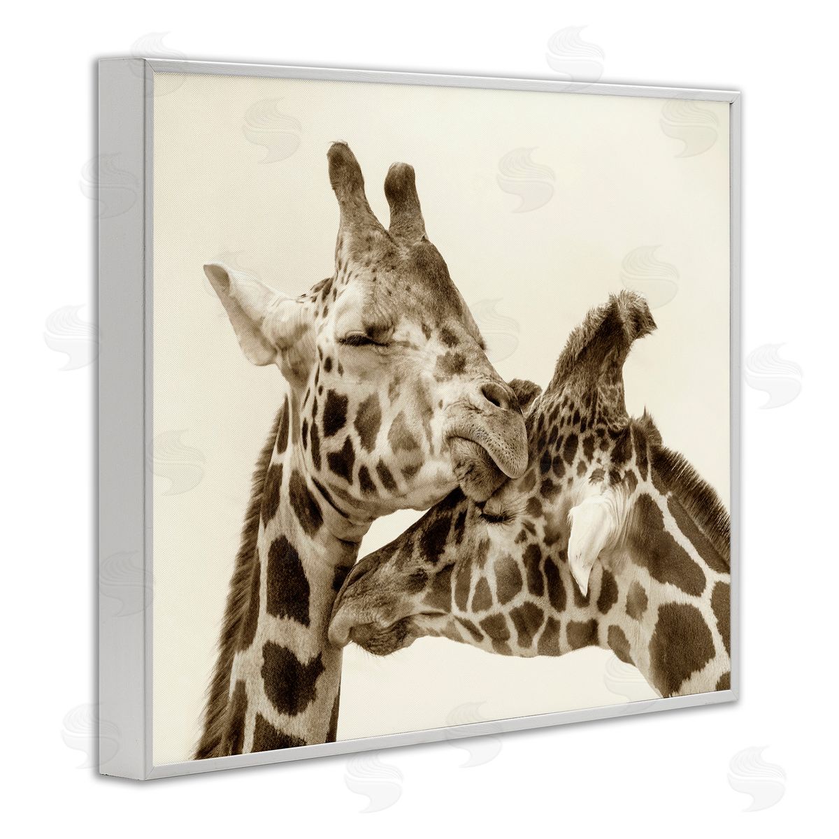 Carrie Ann Grippo-Pike Sweet Cuddling Giraffes Sepia Wildlife Photography Portrait White Framed Giclee Wall Art Print