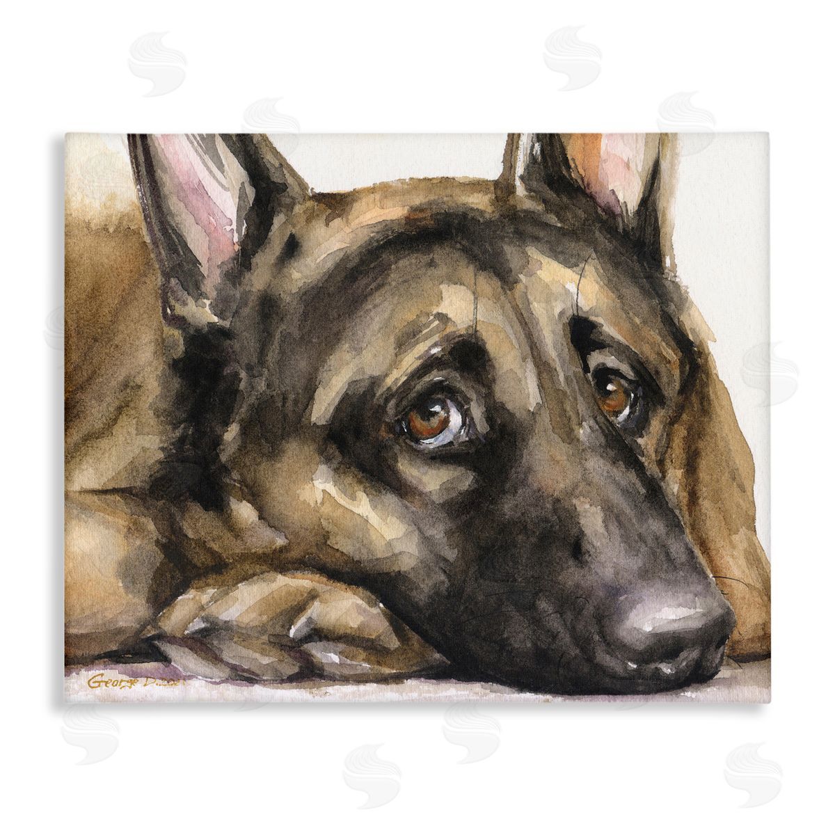 George Dyachenko Tired German Shepherd Dog Resting Head On Paw  Stretched Canvas Wall Art Print