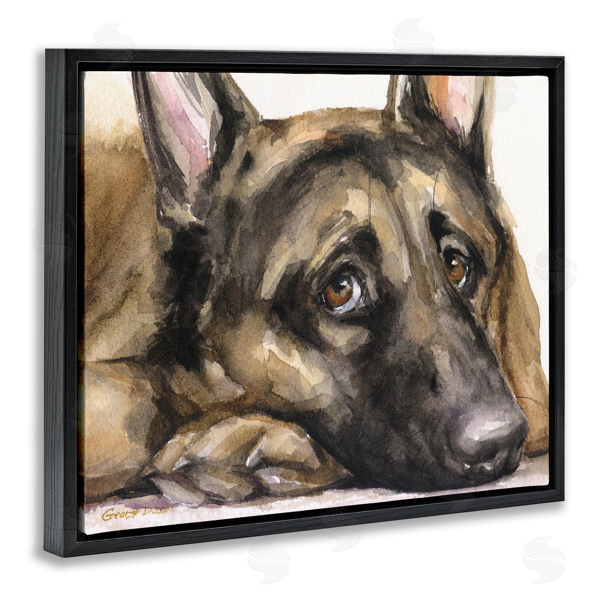George Dyachenko Tired German Shepherd Dog Resting Head On Paw  Black Floating Frame Canvas Wall Art Print