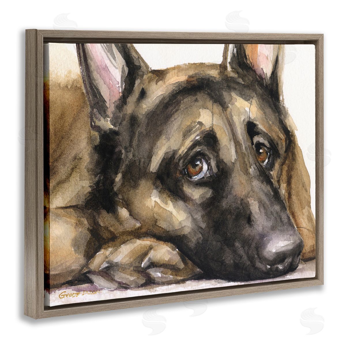 George Dyachenko Tired German Shepherd Dog Resting Head On Paw  Brown Floating Frame Canvas Wall Art Print