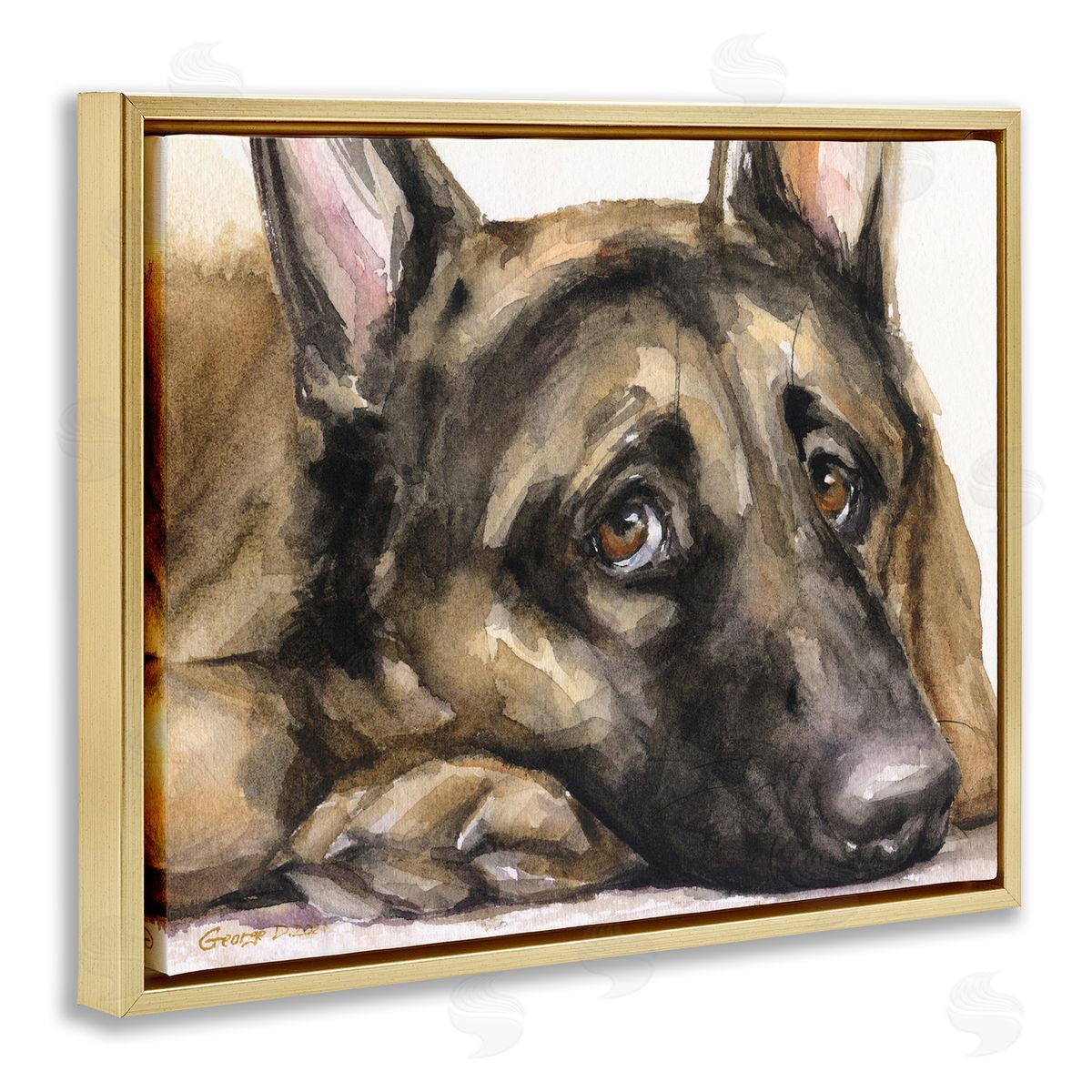 George Dyachenko Tired German Shepherd Dog Resting Head On Paw  Gold Floating Frame Canvas Wall Art Print