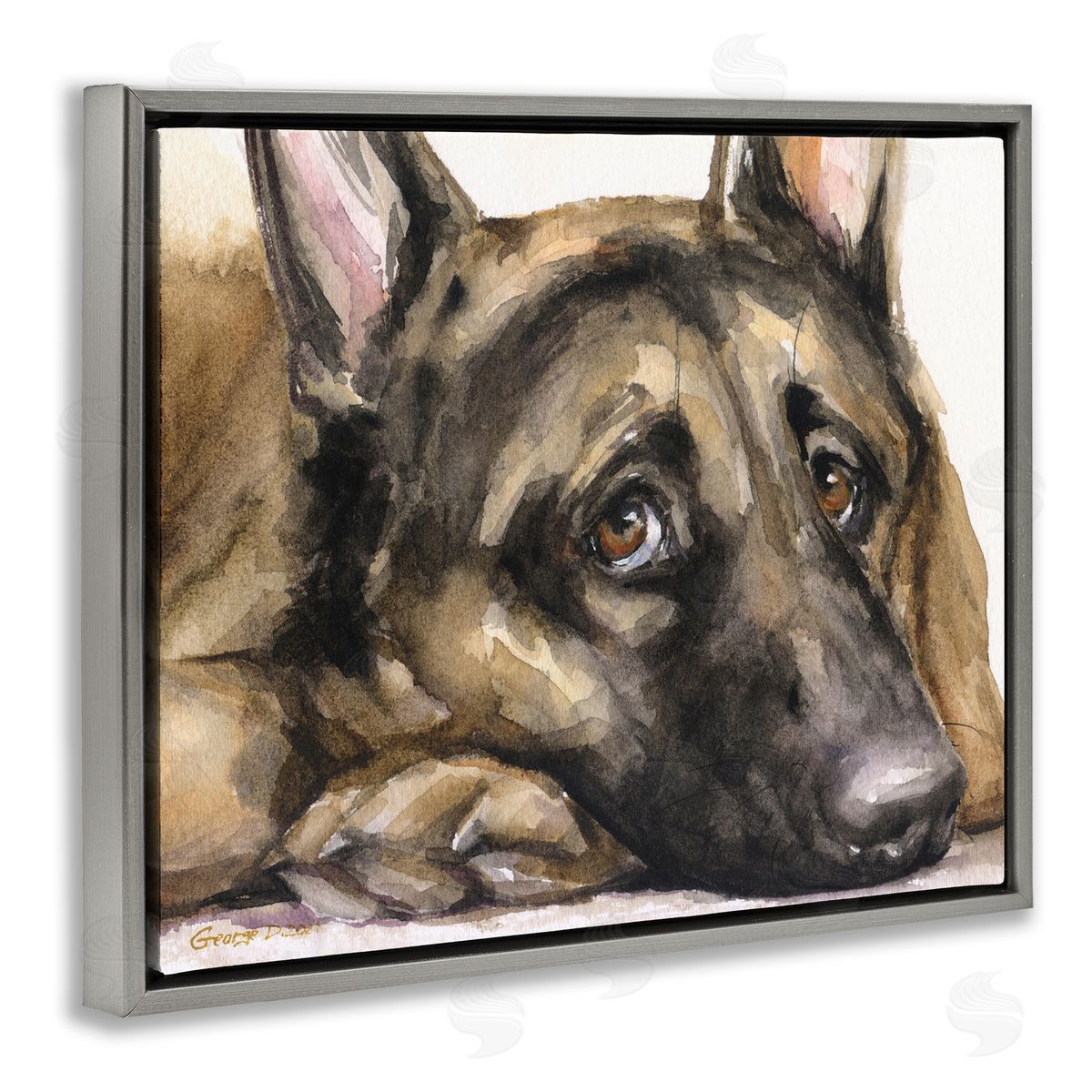 George Dyachenko Tired German Shepherd Dog Resting Head On Paw  Gray Floating Frame Canvas Wall Art Print