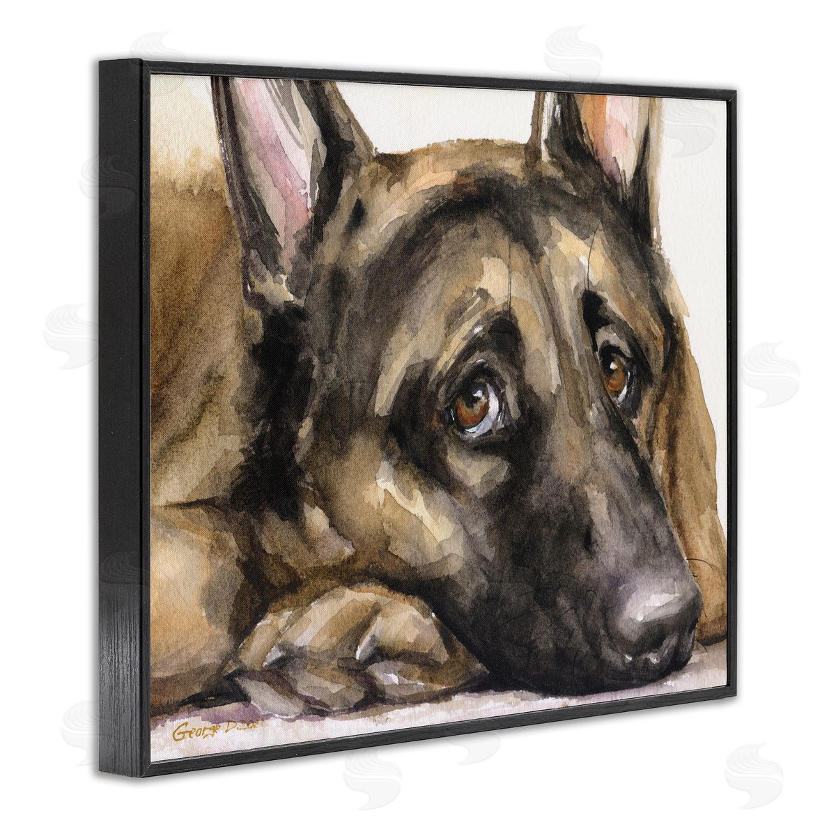 George Dyachenko Tired German Shepherd Dog Resting Head On Paw  Black Framed Giclee Wall Art Print