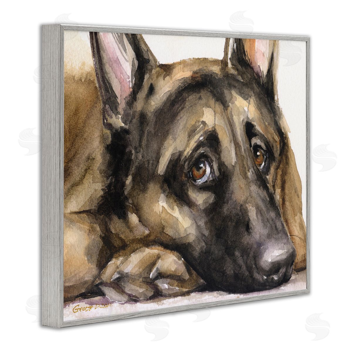 George Dyachenko Tired German Shepherd Dog Resting Head On Paw  Gray Framed Giclee Wall Art Print
