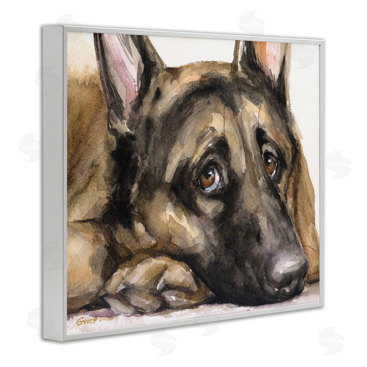George Dyachenko Tired German Shepherd Dog Resting Head On Paw  White Framed Giclee Wall Art Print