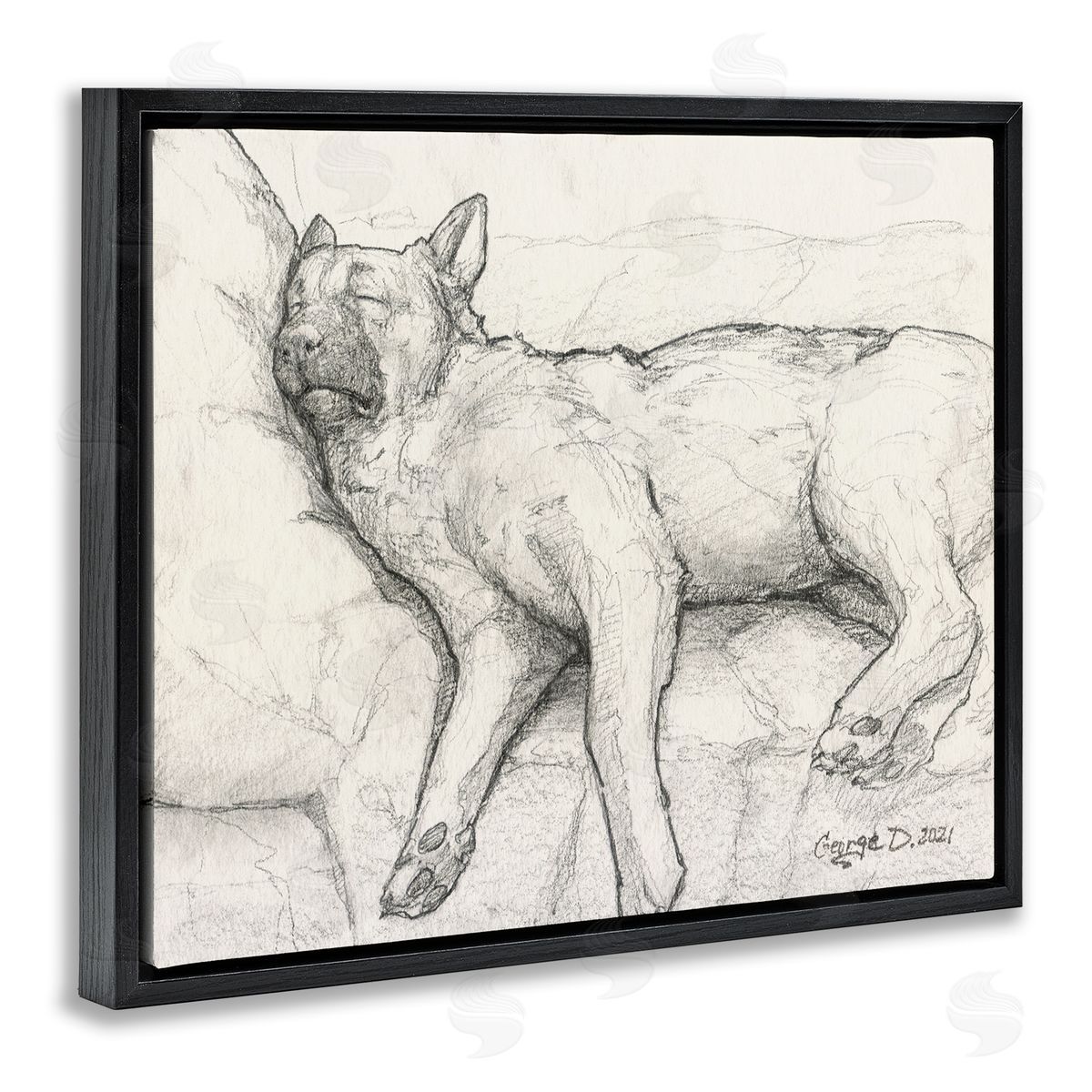 George Dyachenko Tired Dog Sleeping Intricate Graphite Pencil Sketch Black Floating Frame Canvas Wall Art Print