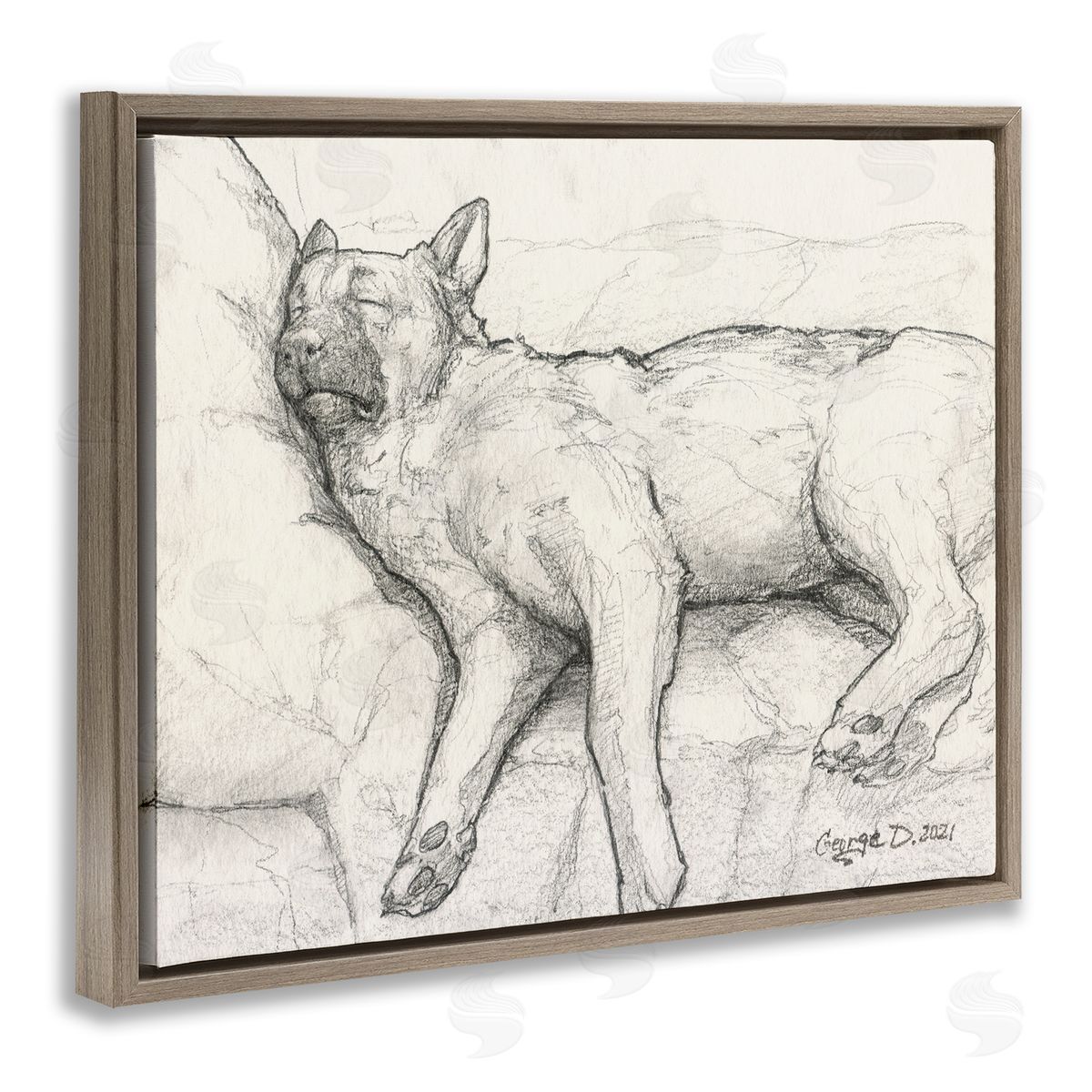 George Dyachenko Tired Dog Sleeping Intricate Graphite Pencil Sketch Brown Floating Frame Canvas Wall Art Print