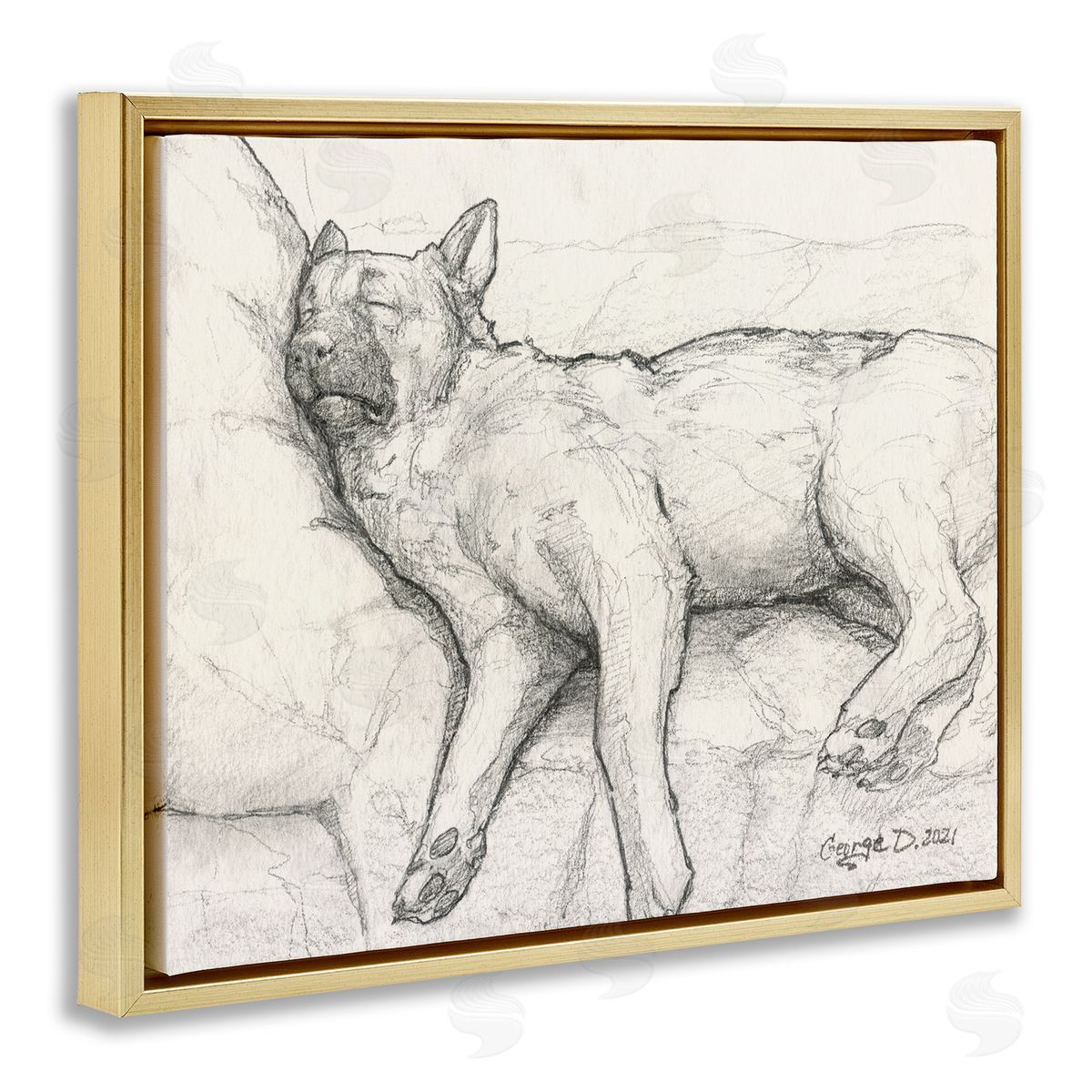 George Dyachenko Tired Dog Sleeping Intricate Graphite Pencil Sketch Gold Floating Frame Canvas Wall Art Print