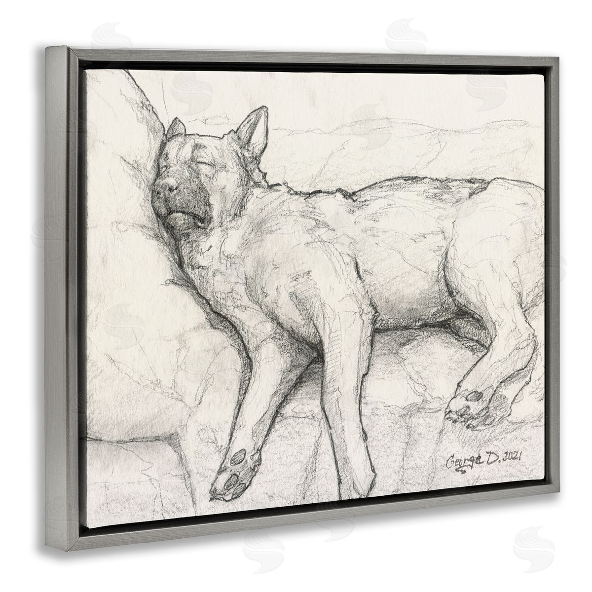 George Dyachenko Tired Dog Sleeping Intricate Graphite Pencil Sketch Gray Floating Frame Canvas Wall Art Print