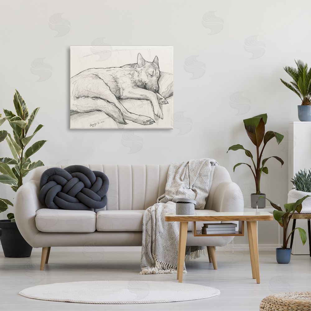 George Dyachenko Dog Curled Up Resting Detailed Graphite Pencil Drawing Canvas Wall Art Print in Room