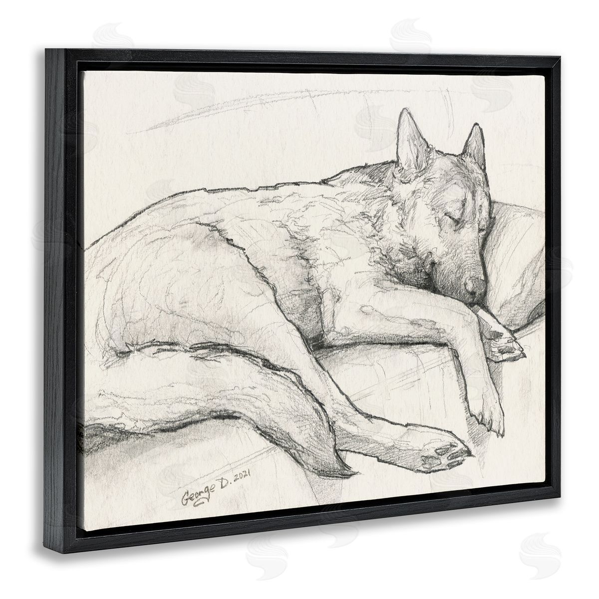 George Dyachenko Dog Curled Up Resting Detailed Graphite Pencil Drawing Black Floating Frame Canvas Wall Art Print