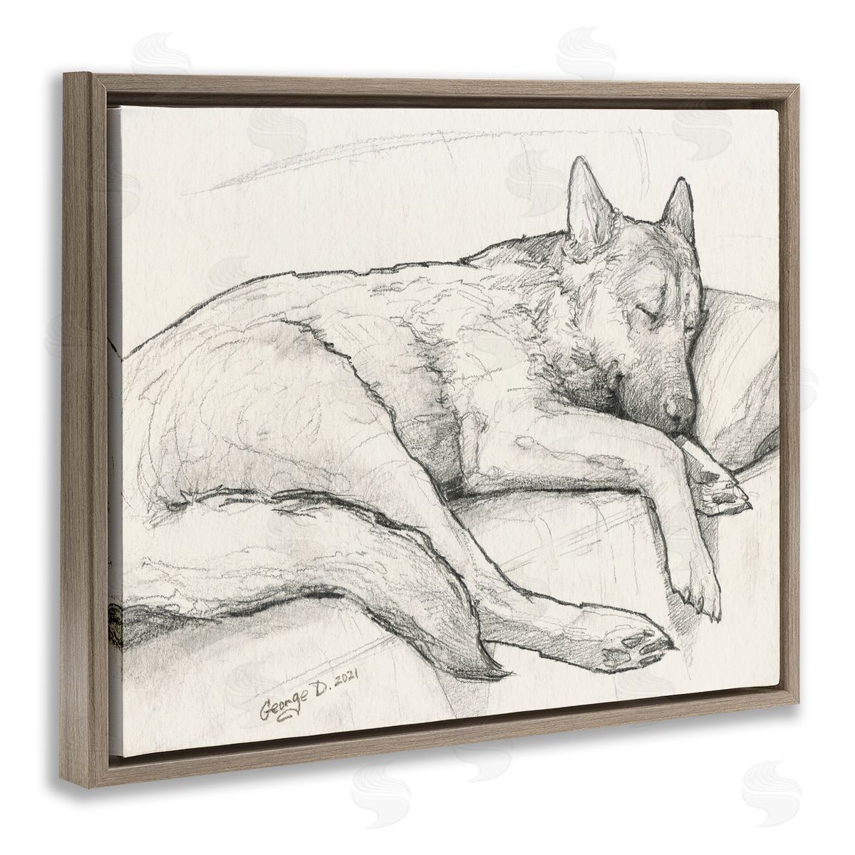 George Dyachenko Dog Curled Up Resting Detailed Graphite Pencil Drawing Brown Floating Frame Canvas Wall Art Print