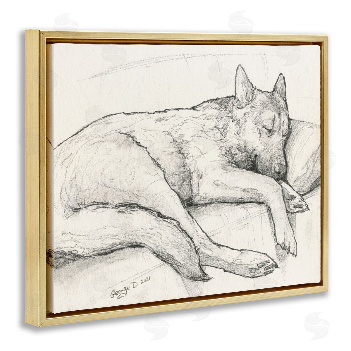 George Dyachenko Dog Curled Up Resting Detailed Graphite Pencil Drawing Gold Floating Frame Canvas Wall Art Print