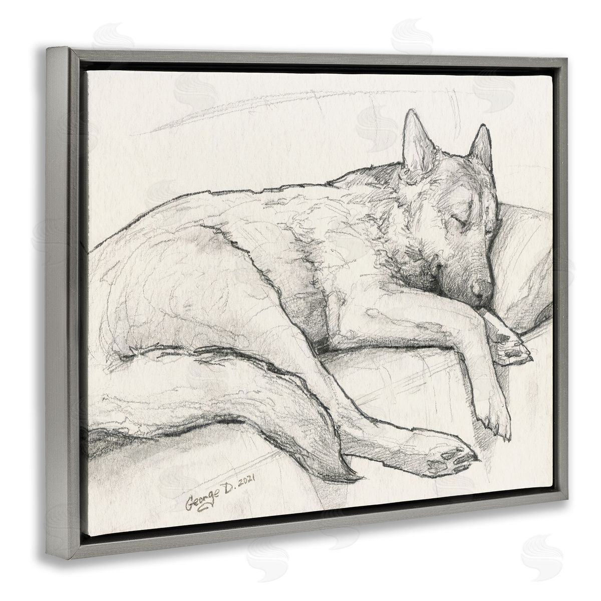 George Dyachenko Dog Curled Up Resting Detailed Graphite Pencil Drawing Gray Floating Frame Canvas Wall Art Print