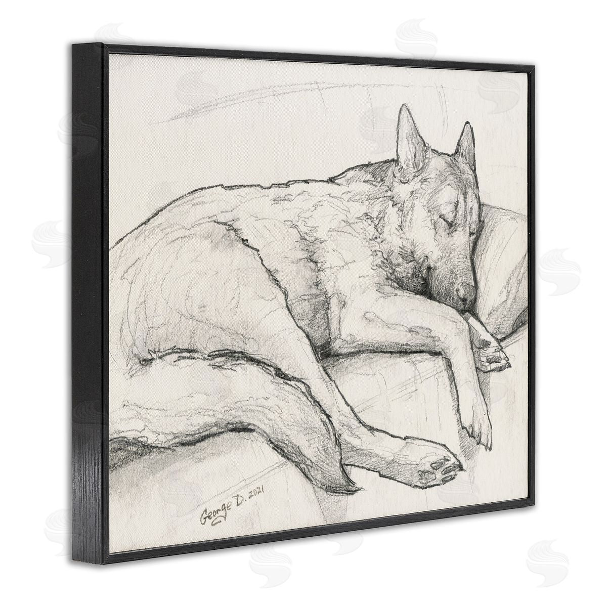 George Dyachenko Dog Curled Up Resting Detailed Graphite Pencil Drawing Black Framed Giclee Wall Art Print