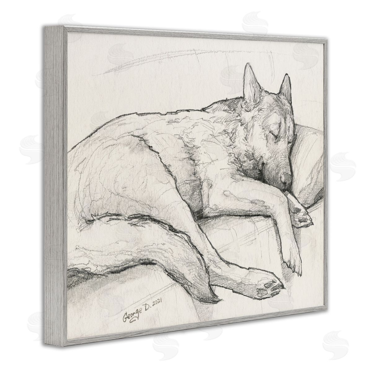 George Dyachenko Dog Curled Up Resting Detailed Graphite Pencil Drawing Gray Framed Giclee Wall Art Print