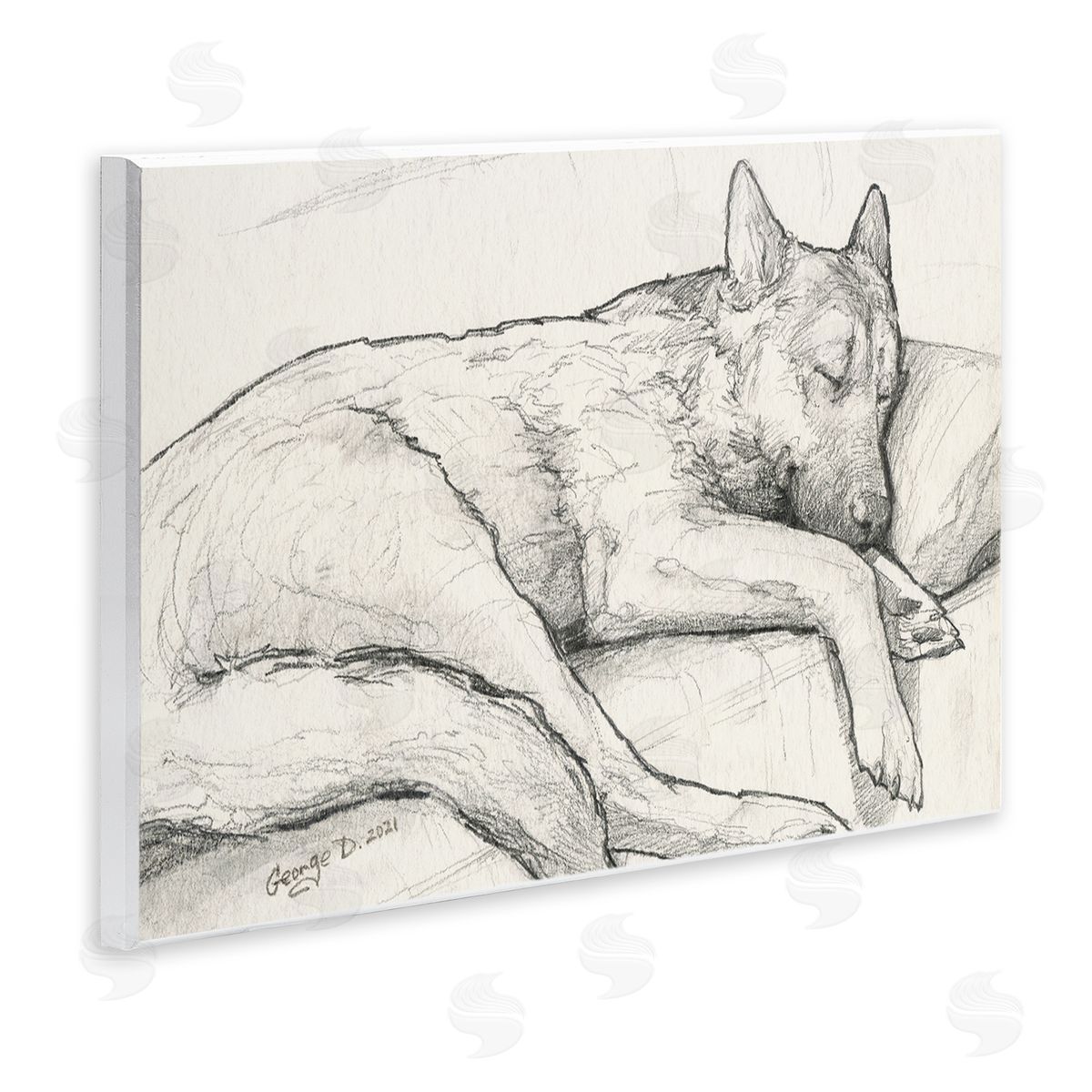 George Dyachenko Dog Curled Up Resting Detailed Graphite Pencil Drawing Wall Plaque Art Print
