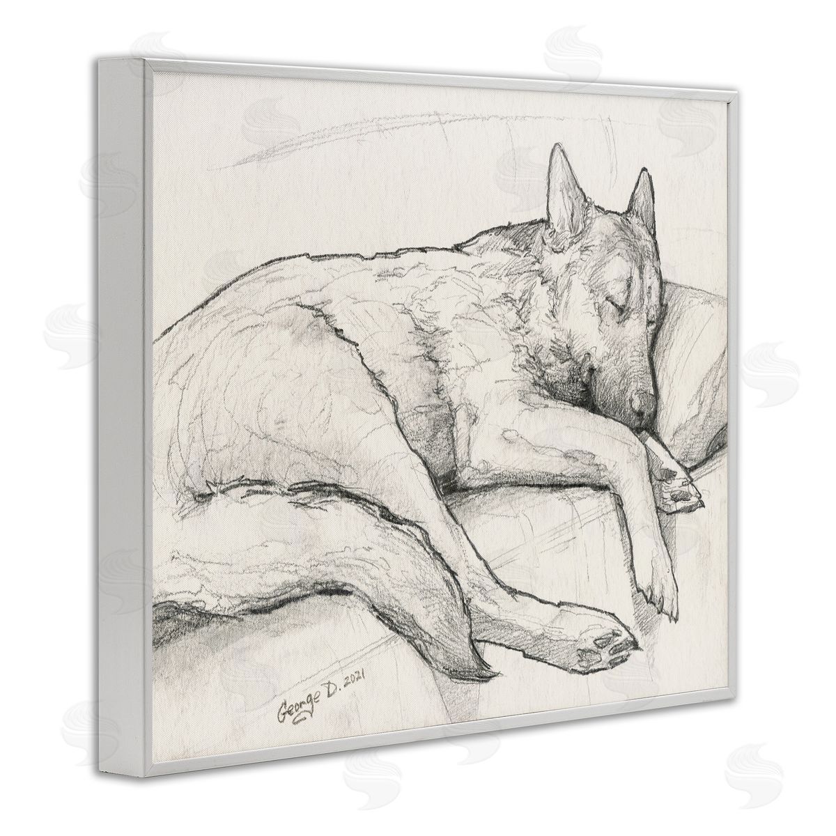 George Dyachenko Dog Curled Up Resting Detailed Graphite Pencil Drawing White Framed Giclee Wall Art Print