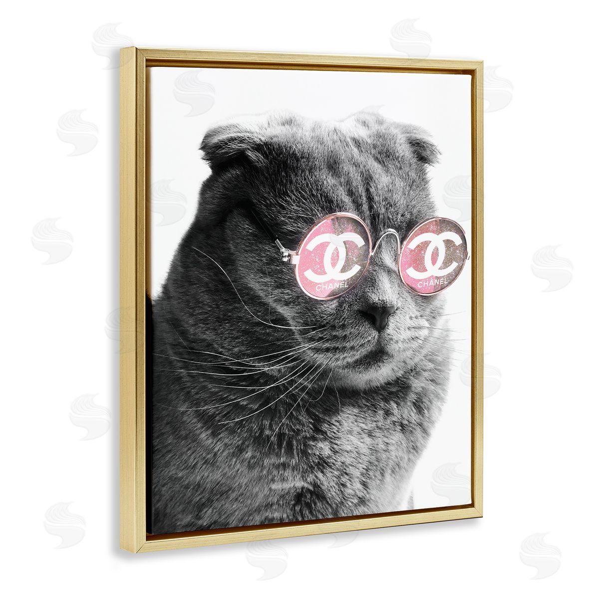 Ziwei Li Trendy Cat Wearing Glam Fashion Pink Sunglasses  Gold Floating Frame Canvas Wall Art Print