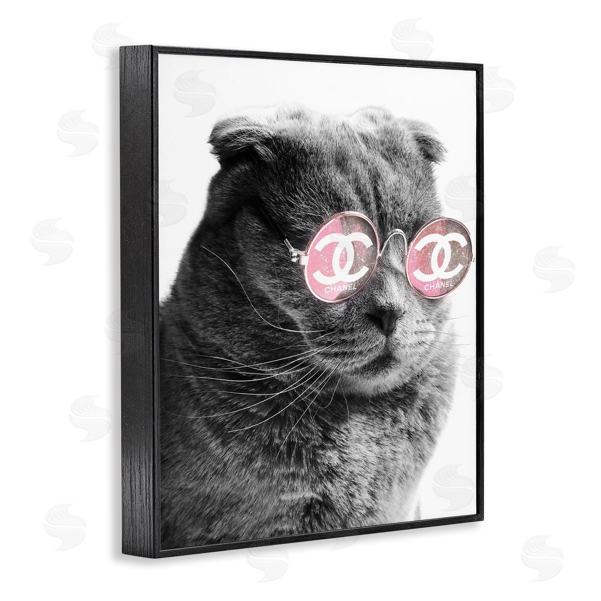Ziwei Li Trendy Cat Wearing Glam Fashion Pink Sunglasses  Black Framed Giclee Wall Art Print