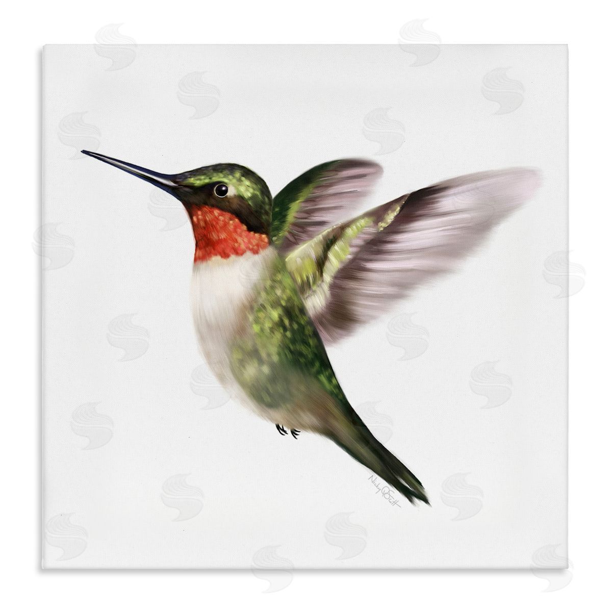 Studio Q Flying Hummingbird Wings Hovering Casual Painting Stretched Canvas Wall Art Print