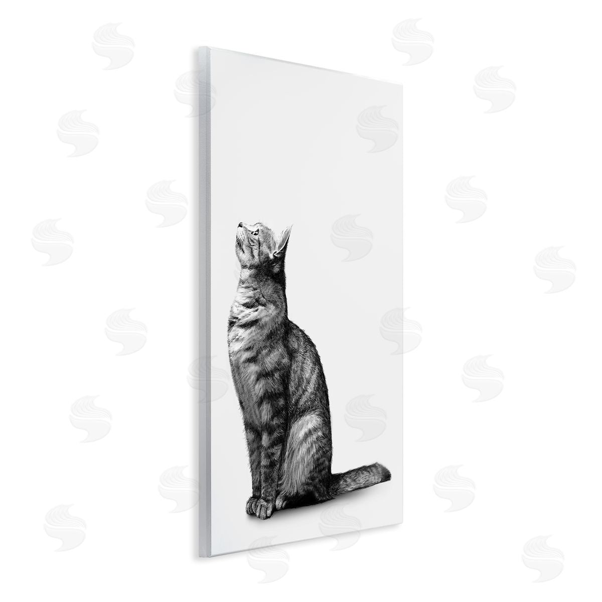 Ziwei Li Manx Cat Sitting Calmly Detailed Casual Portrait  Wall Plaque Art Print