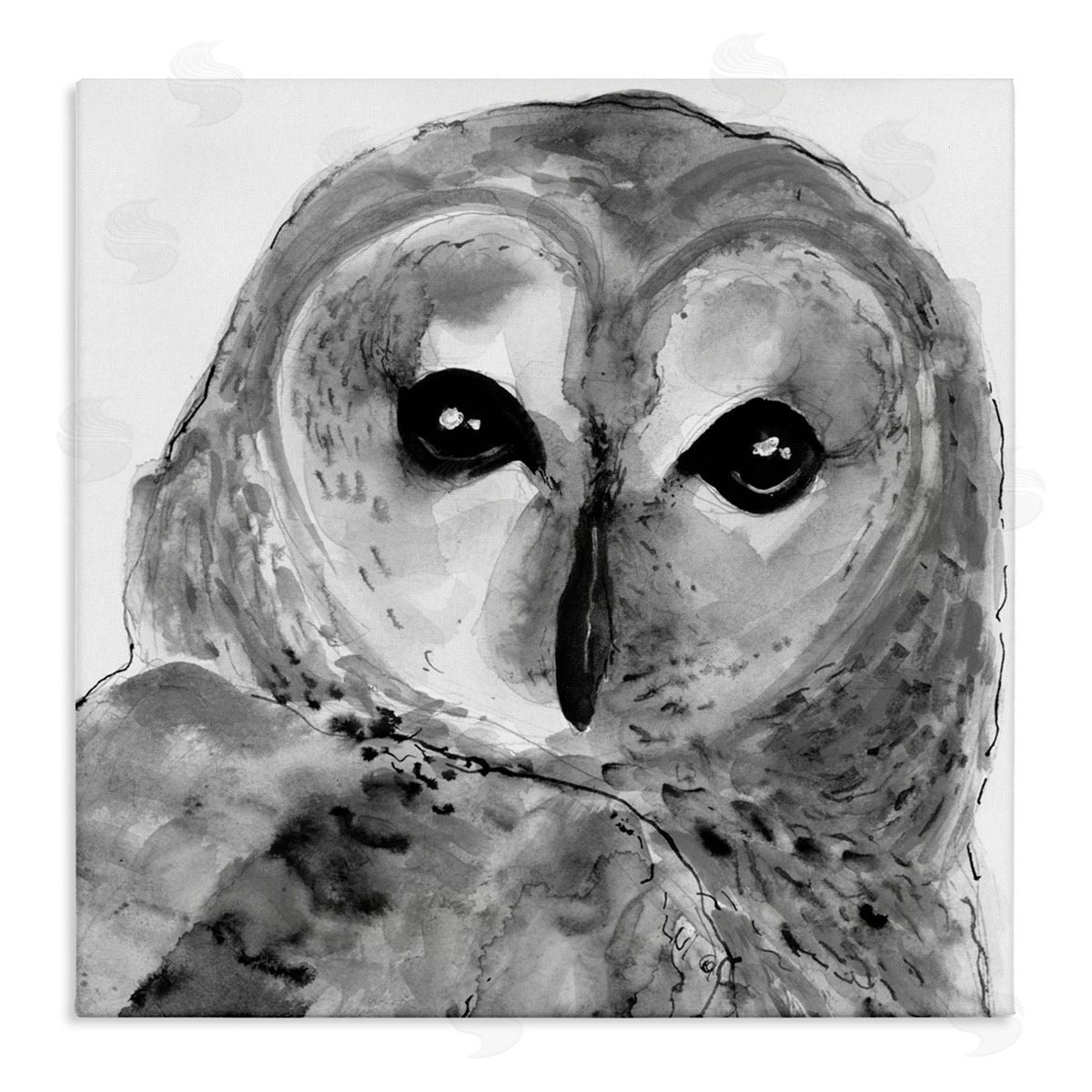 Patti Mann Close Up Barn Owl Bird Gazing Ink Watercolor  Stretched Canvas Wall Art Print