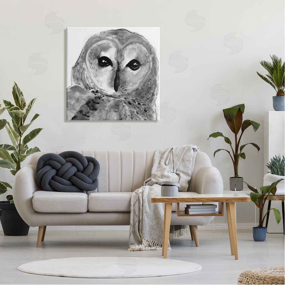 Patti Mann Close Up Barn Owl Bird Gazing Ink Watercolor Canvas Wall Art in Room