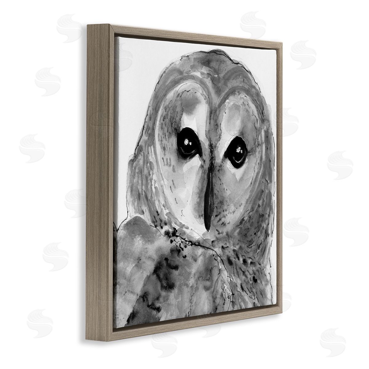 Patti Mann Close Up Barn Owl Bird Gazing Ink Watercolor Brown Floating Frame Canvas Wall Art Print