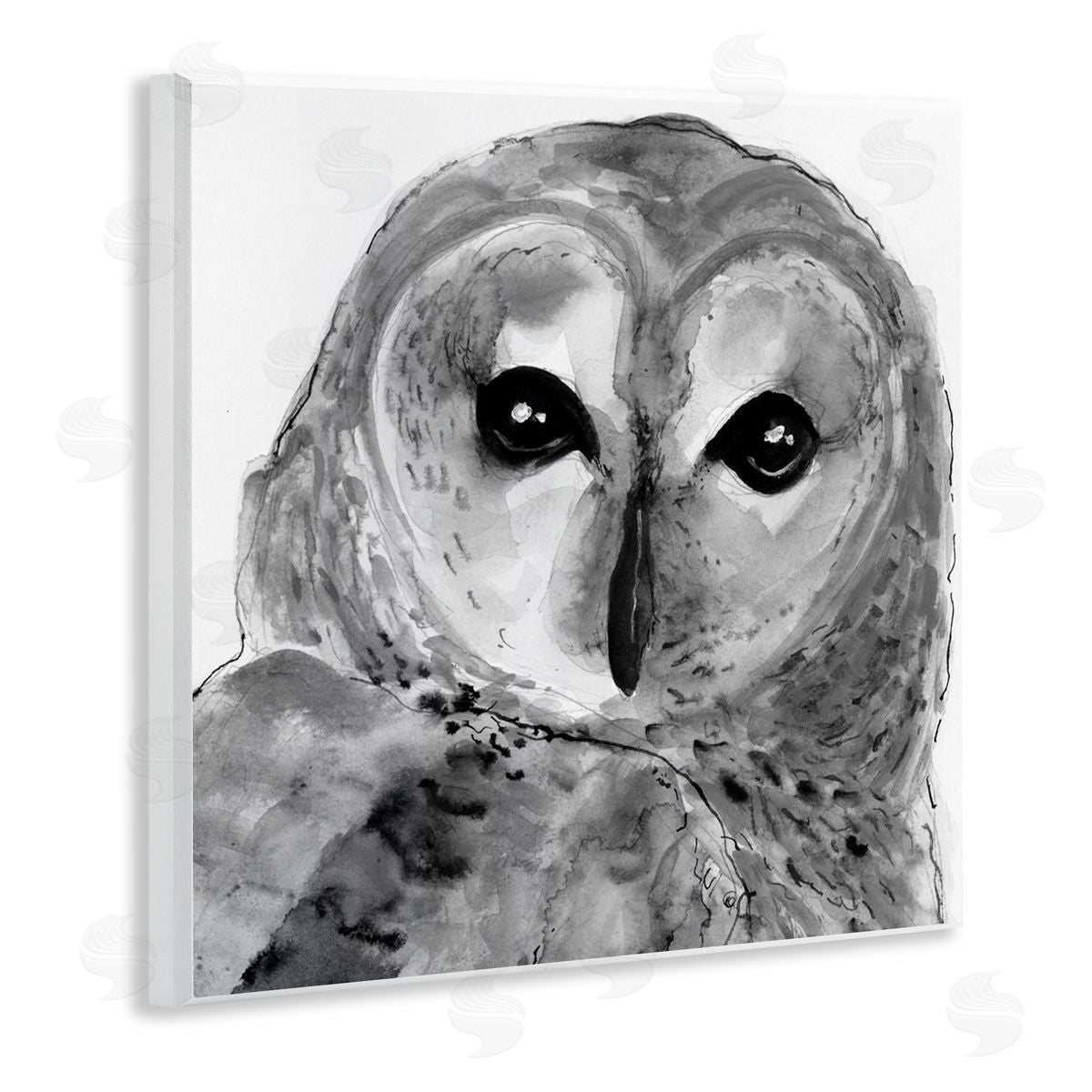 Patti Mann Close Up Barn Owl Bird Gazing Ink Watercolor Wooden Wall Plaque Art Print