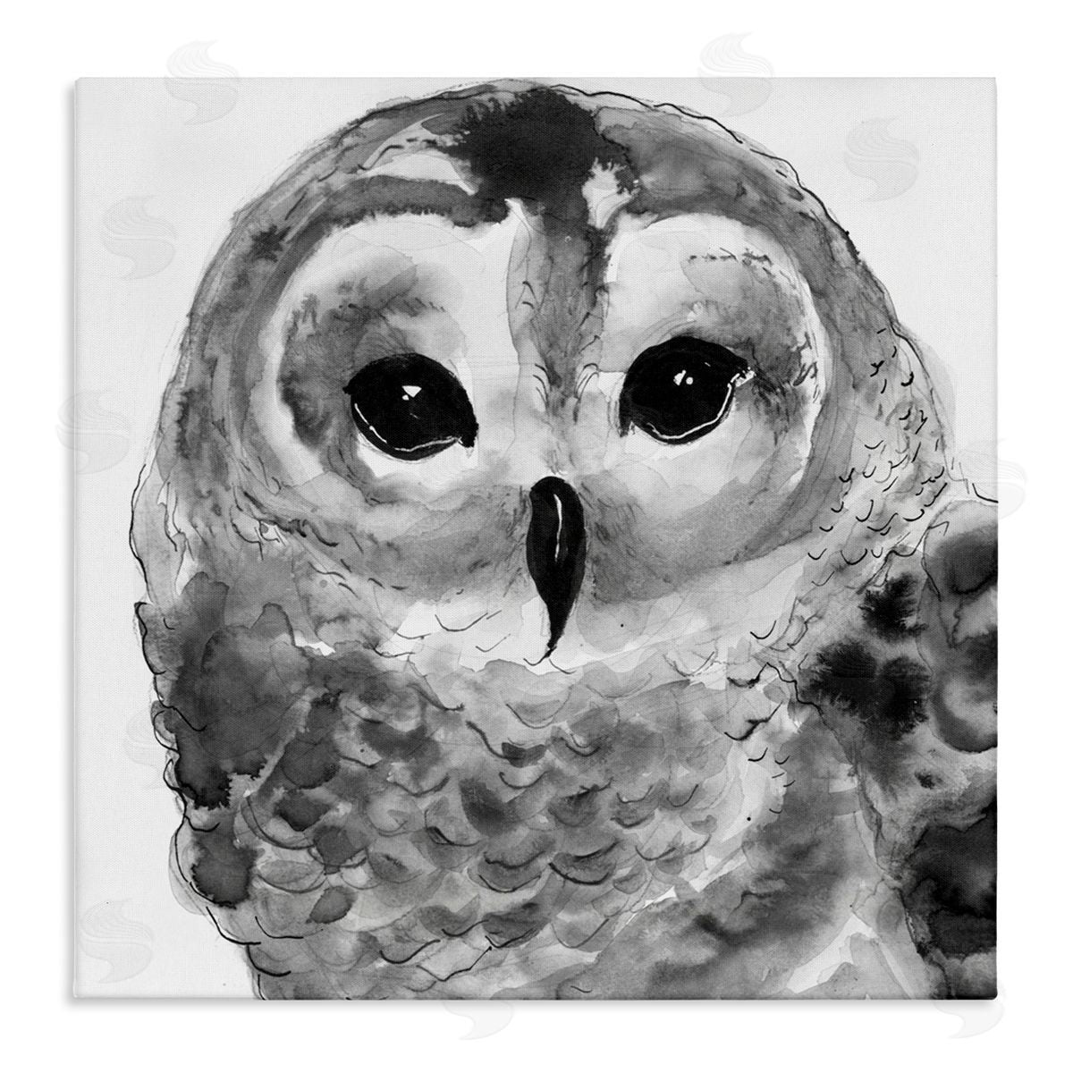 Patti Mann Tranquil Barn Owl Bird Face Portrait Painting Stretched Canvas Wall Art Print