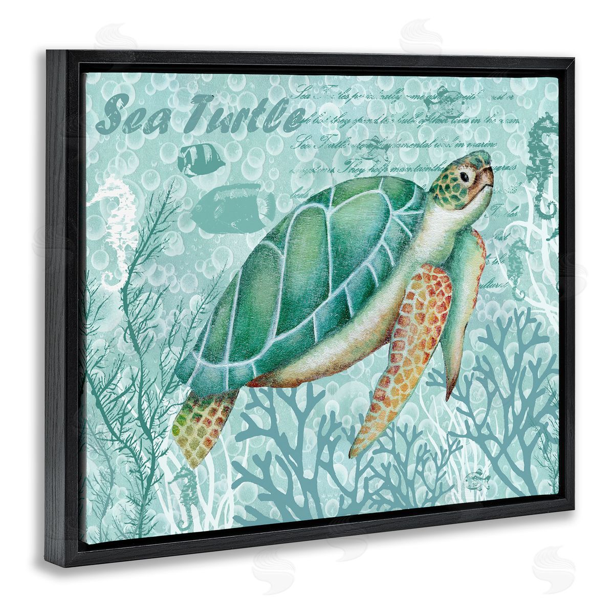 Emma Leach Coral ed Sea Turtle Seahorse Script Calligraphy Black Floating Frame Canvas Wall Art Print