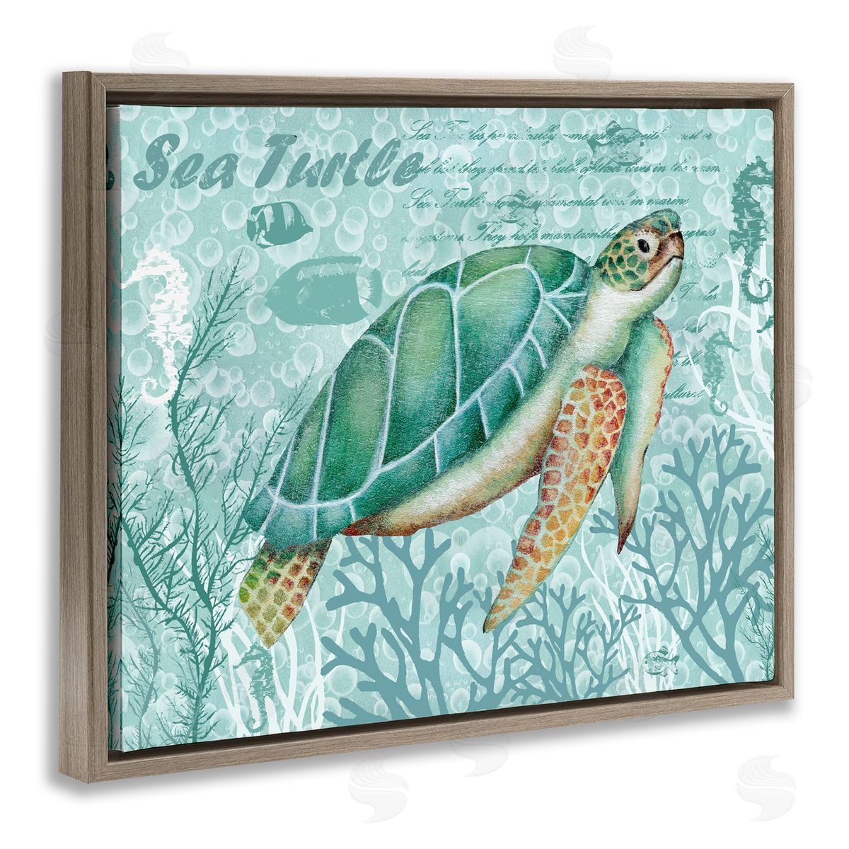 Emma Leach Coral ed Sea Turtle Seahorse Script Calligraphy Brown Floating Frame Canvas Wall Art Print