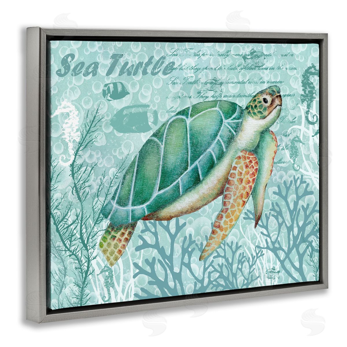 Emma Leach Coral ed Sea Turtle Seahorse Script Calligraphy Gray Floating Frame Canvas Wall Art Print