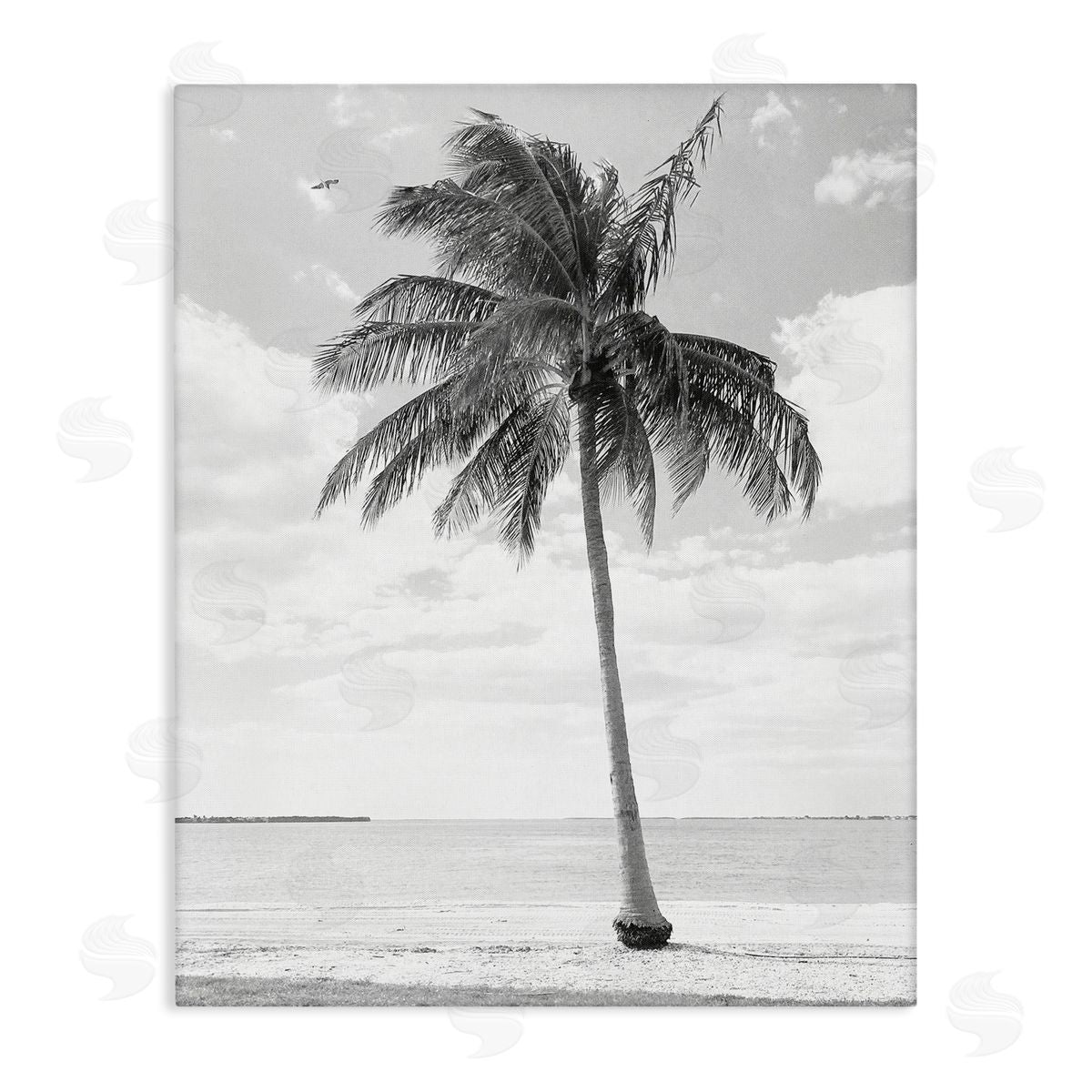 Graffitee Studios Single Palm Tree Monochrome Tropical Beach Plant Stretched Canvas Wall Art Print