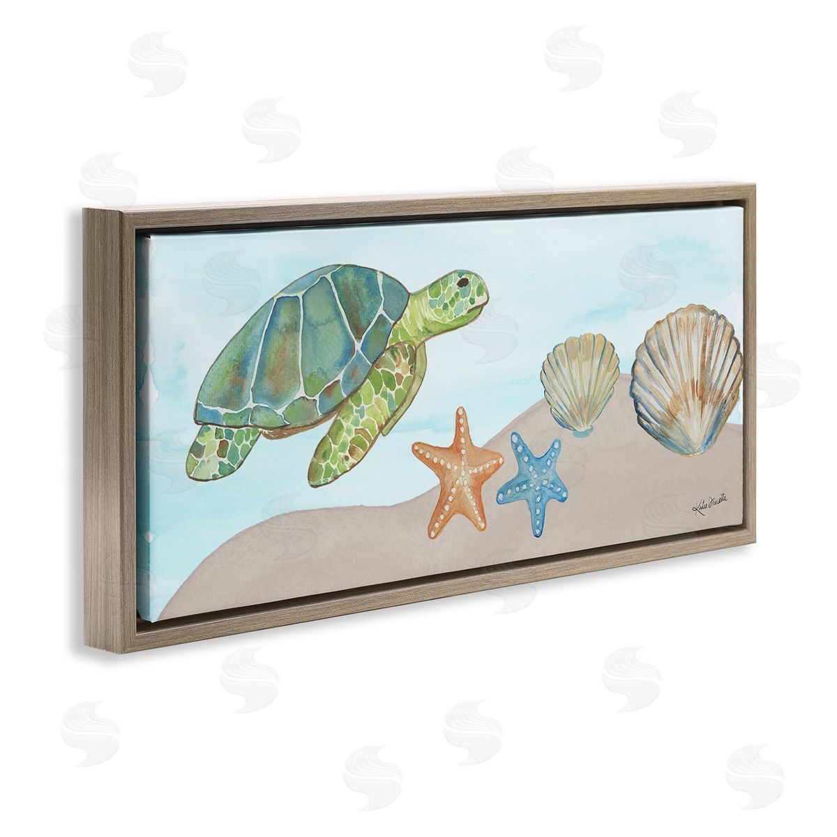 Katie Doucette Green Turtle Swimming Starfish Shells Sea Life