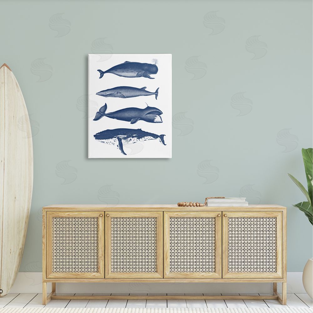 Lettered and Lined Various Whales Types Sea Life Detailed Illustrations Canvas Wall Art Print in Room