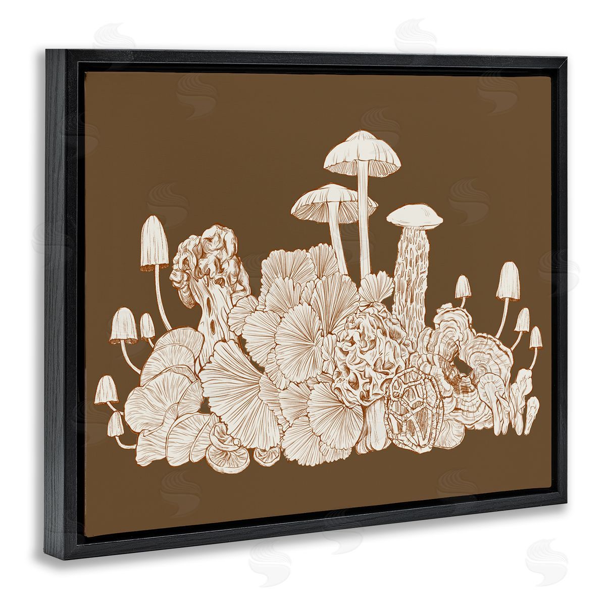 Ziwei Li Detailed Mushrooms Cottage Neutrals Wildlife Plants Black Floating Frame Canvas Wall Art Print